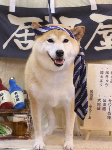 20240621平太くん